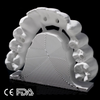 🔥Bloomden Multilayer Zirconia 3D Pro🔥