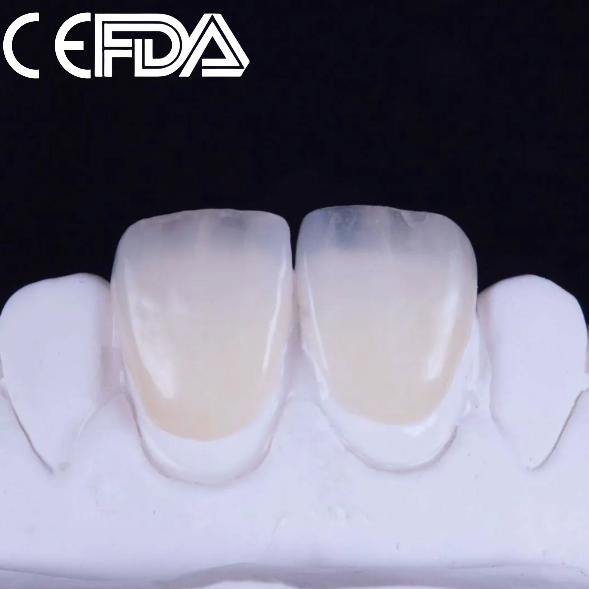 🔥Bloomden Multilayer Zirconia 3D Pro🔥